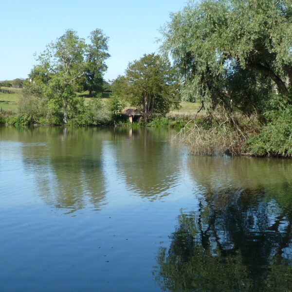 Estate Lake at Knowle in the West Midlands offers exclusive fishing