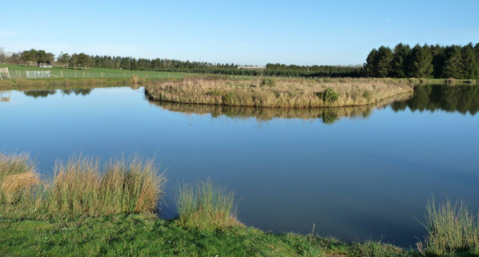 One of the pools at Arrow Meadow's Leigh Sinton Fishery near Malvern