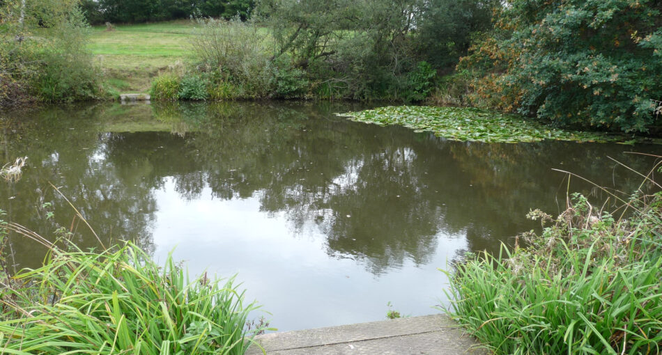 First Bay at Packington Somers Fishery near Meriden