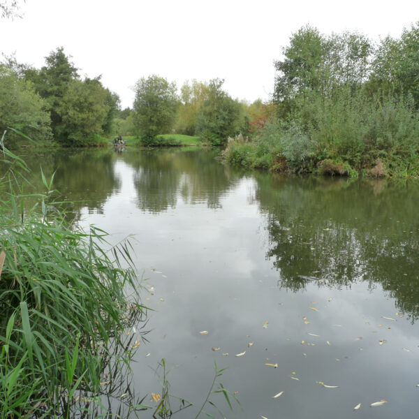 Molands lake at Packington Somers Fishery near Meriden