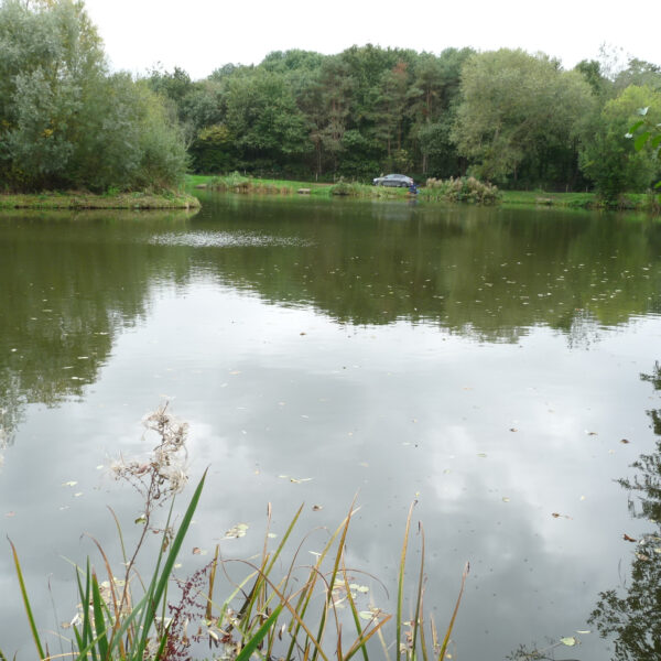 Molands lake at Packington Somers Fishery near Meriden