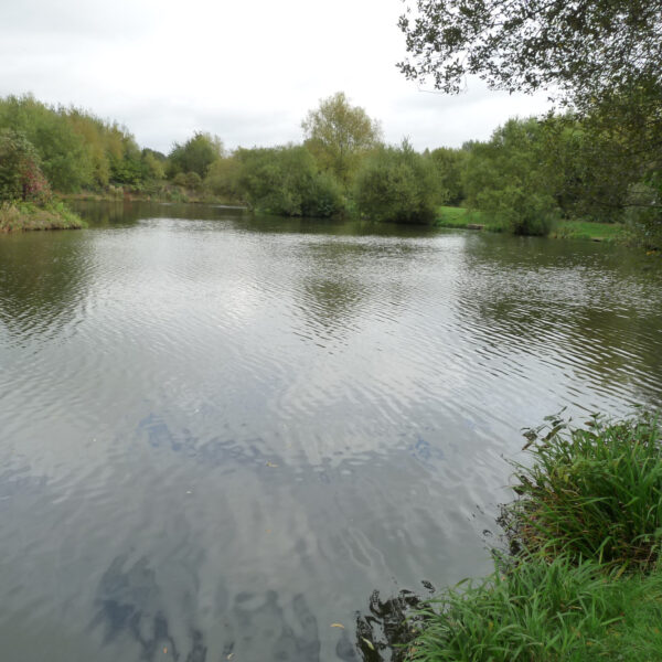 Molands lake at Packington Somers Fishery near Meriden