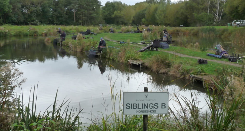 Siblings 'B' match pool at Packington Somers Fishery