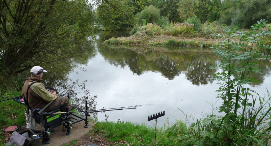 Willow Pool at Packington Somers Fishery