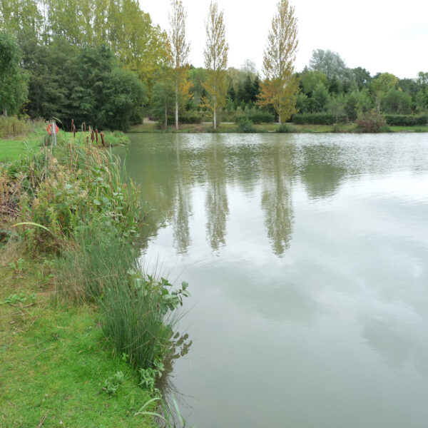 Boat Lake at Peatling Match Lakes in Leicestershire