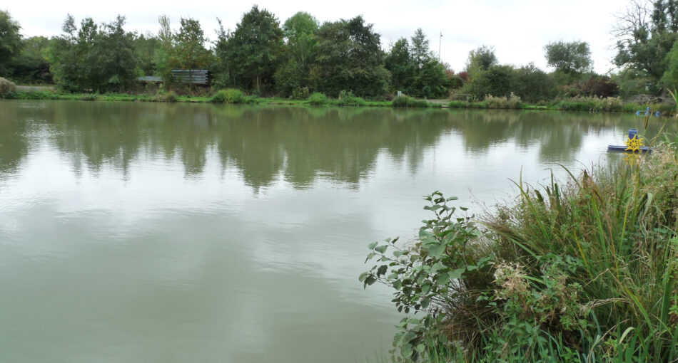 Boat Lake at Peatling Match Lakes in Leicestershire