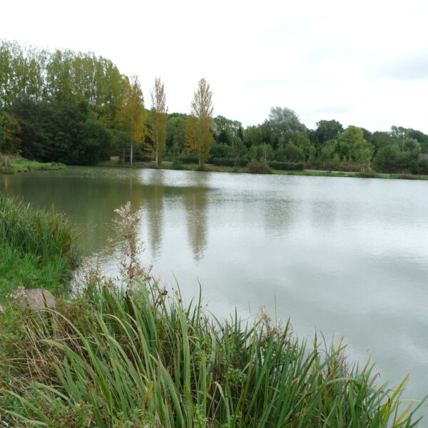 Boat Lake at Peatling Match Lakes in Leicestershire