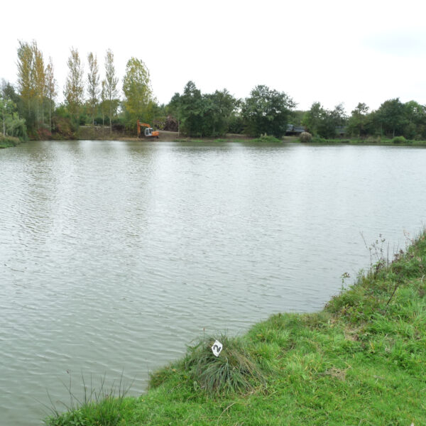 Canal Lake at Peatling Match Lakes in Leicestershire