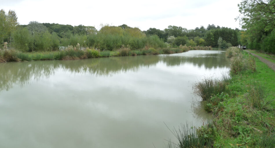 Canal Lake at Peatling Match Lakes in Leicestershire