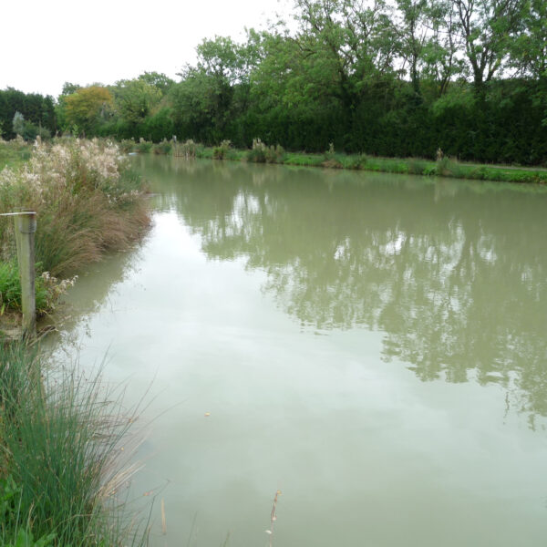 Canal Lake at Peatling Match Lakes in Leicestershire