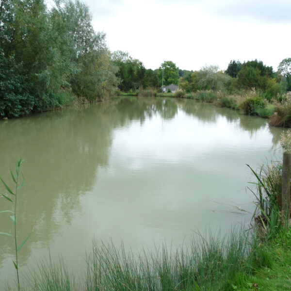 Crano Lake at Peatling Match Lakes in Leicestershire