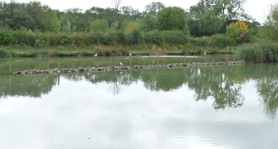 Marsh Lake at Peatling Match Lakes in Leicestershire