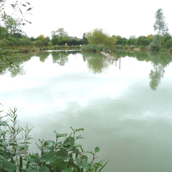 Marsh Lake at Peatling Match Lakes in Leicestershire