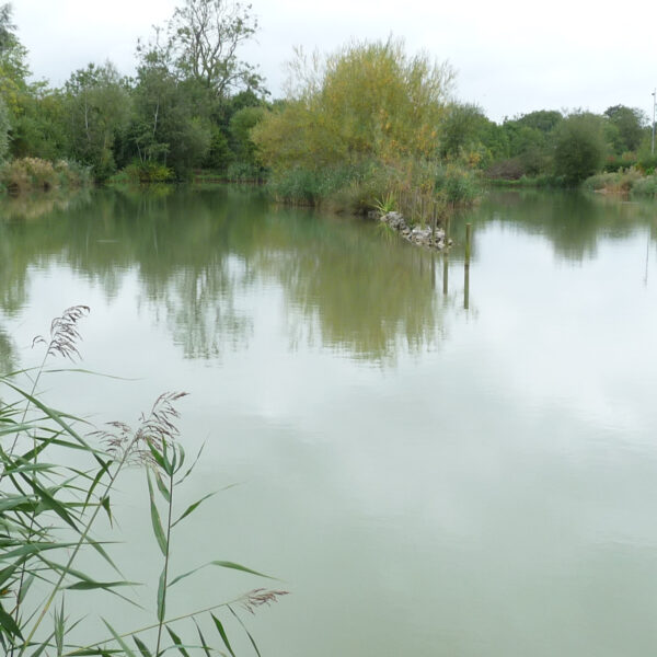 Marsh Lake at Peatling Match Lakes in Leicestershire