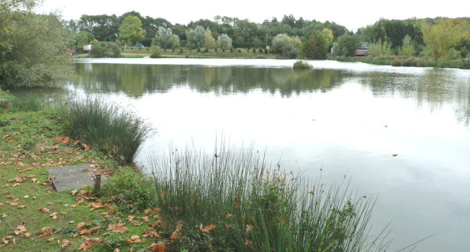 Old Lane Lake at Peatling Match Lakes in Leicestershire