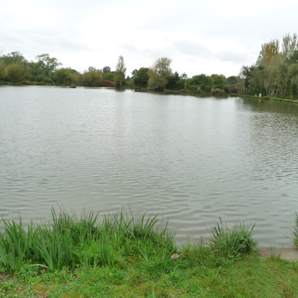 Old Lake at Peatling Match Lakes in Leicestershire