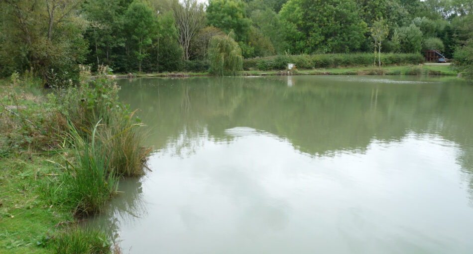 Silver Fish Lake at Peatling Match Lakes in Leicestershire