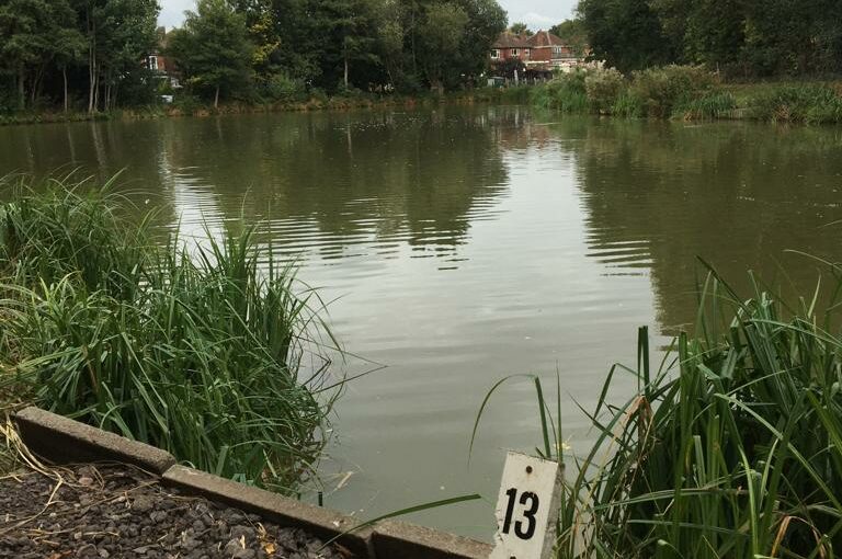 Crucian Pool at the Ridings Fishery near Atherstone
