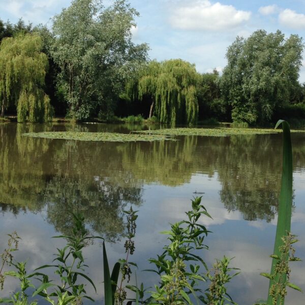 Folly Pool at the Ridings Fishery near Atherstone