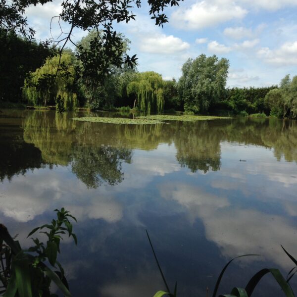 Folly Pool at the Ridings Fishery