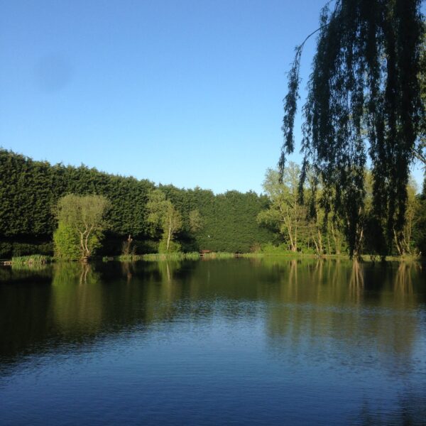 Folly Pool at the Ridings Fishery near Atherstone