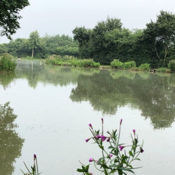 Riddings Pool at the Ridings Fishery near Atherstone