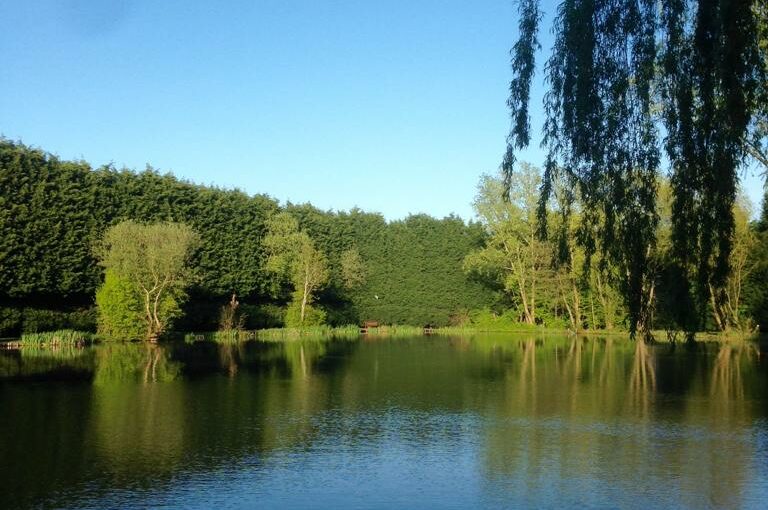 Specimen Pool at the Ridings Fishery near Atherstone