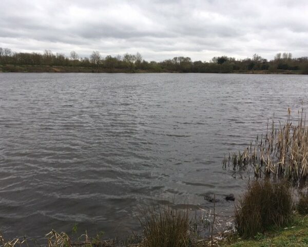 Swann Pool at Kingsbury Water Park in the West Midlands