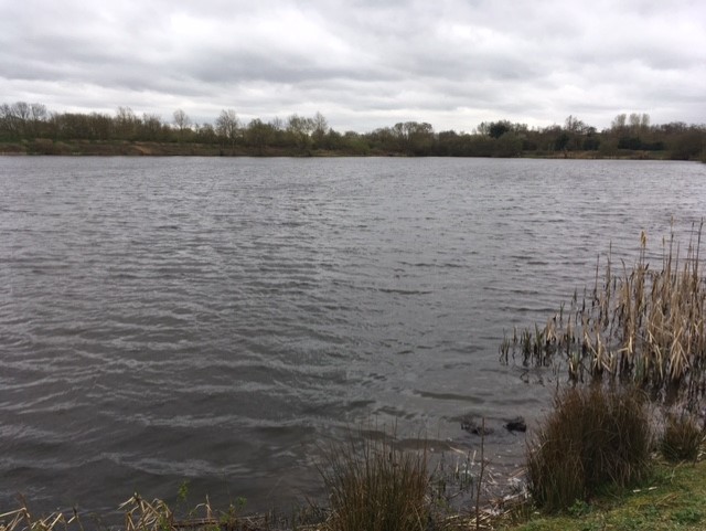 Swann Pool at Kingsbury Water Park in the West Midlands