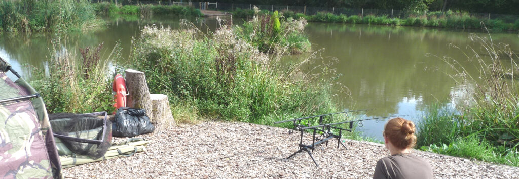 Arrow Meadow