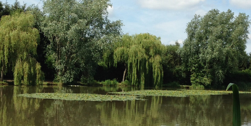 Riddings Fishery