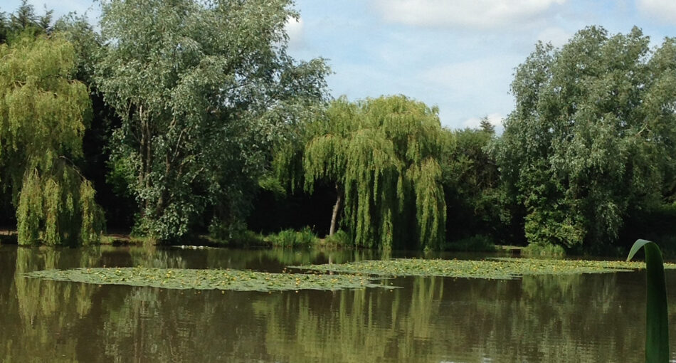 Riddings Fishery at Grendon near Atherstone