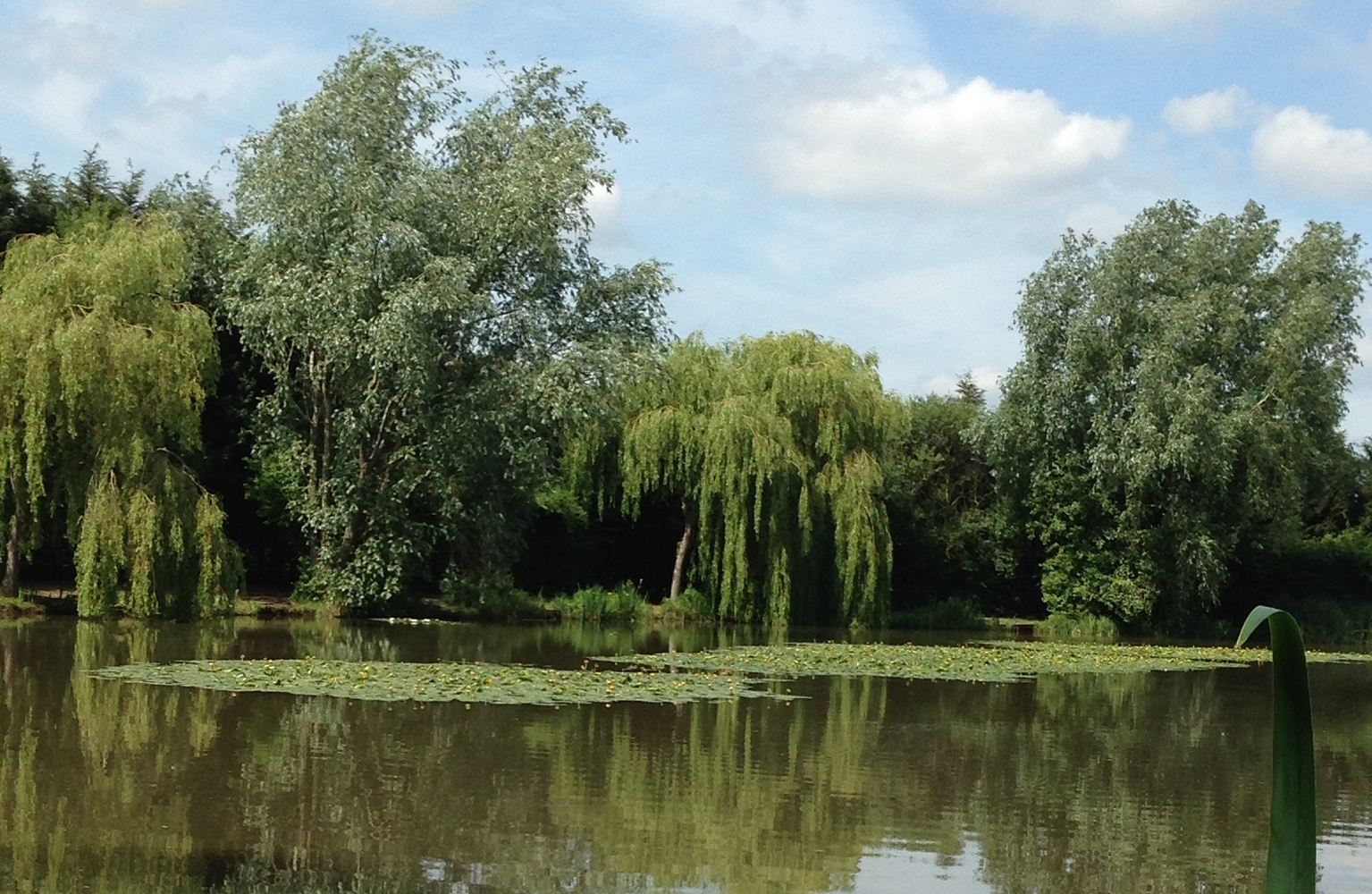 Riddings Fishery at Grendon