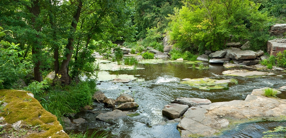 State of our rivers a ‘National Scandal’ says Angling Trust