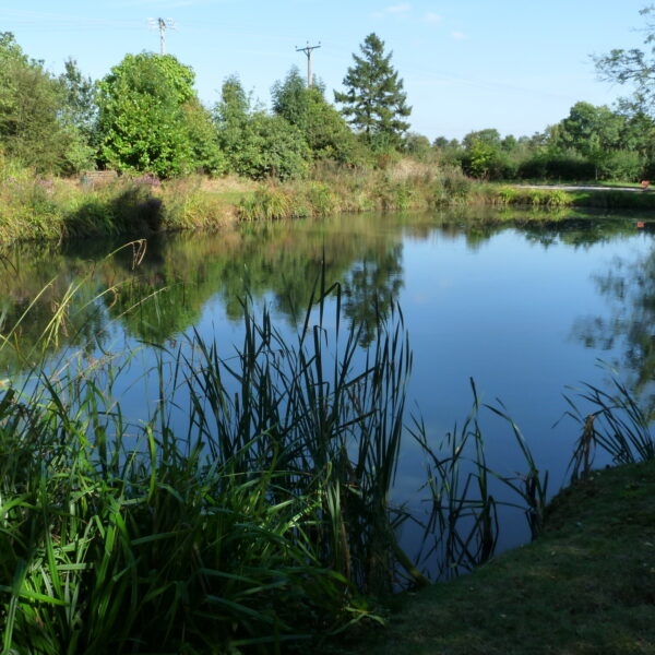 Canaan Farm Pool at Ashby Parva in Leicestershire