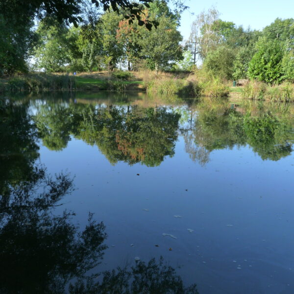 Canaan Farm Pool at Ashby Parva in Leicestershire