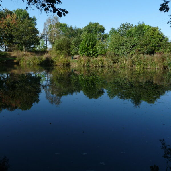 Canaan Farm Pool at Ashby Parva in Leicestershire