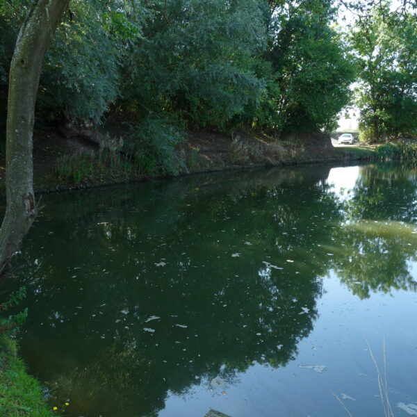 Canaan Farm Pool at Ashby Parva in Leicestershire