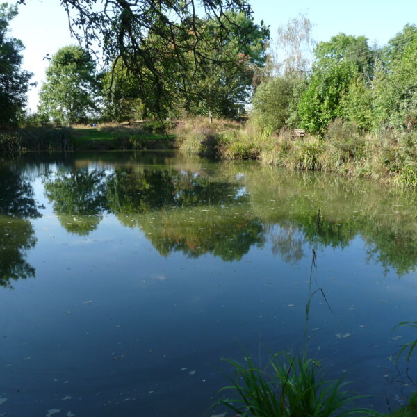 Canaan Farm Pool at Ashby Parva in Leicestershire