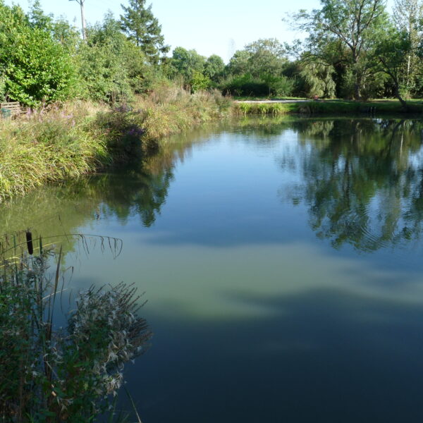 Canaan Farm Pool at Ashby Parva in Leicestershire