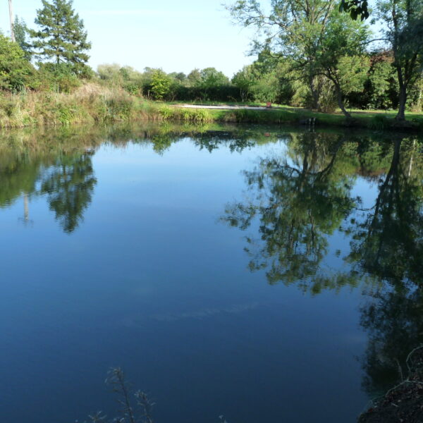 Canaan Farm Pool at Ashby Parva in Leicestershire