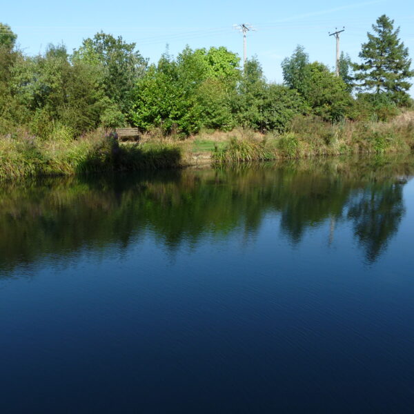 Canaan Farm Pool at Ashby Parva in Leicestershire