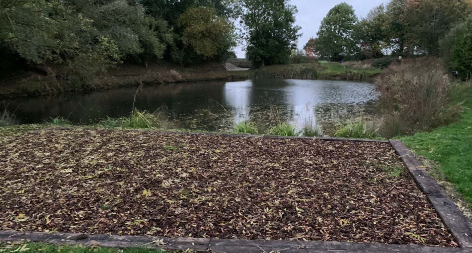 Canaan Farm Pool at Ashby Parva in Leicestershire