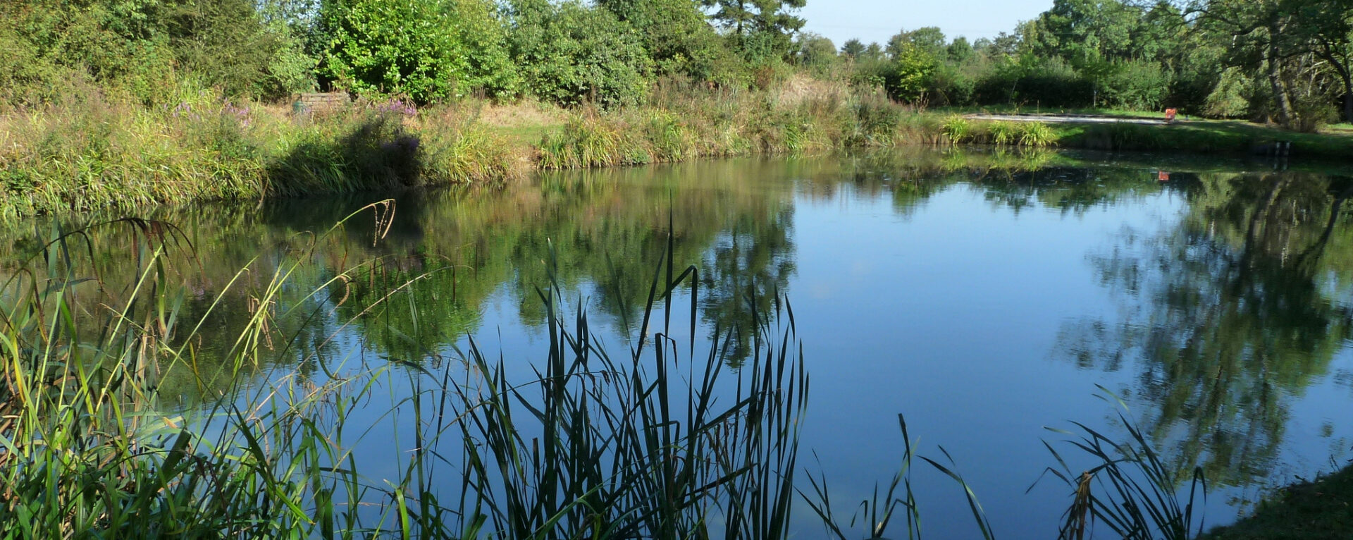Canaan Farm Fisheries.co.uk