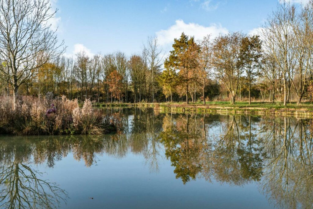 Fishery for sale in Wiltshire