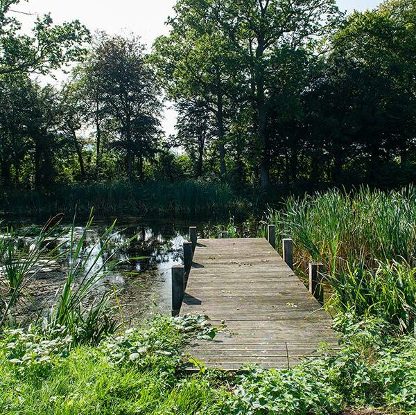 Property with Fishing lake in Pershore