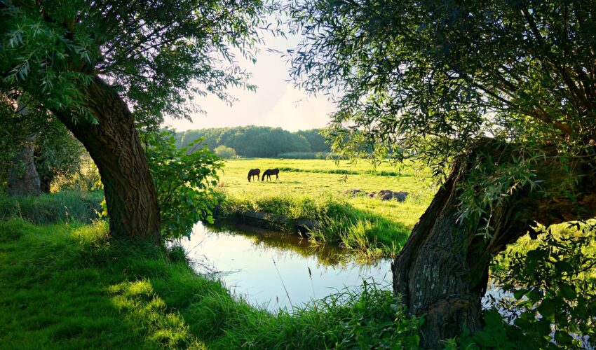 Small river in England