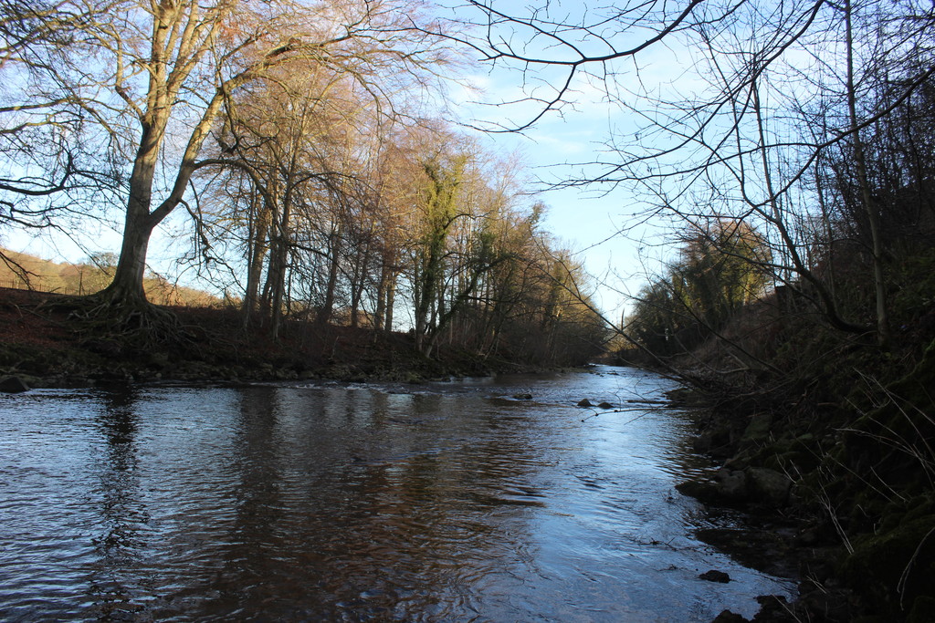 River Wear, Bishop Auckland