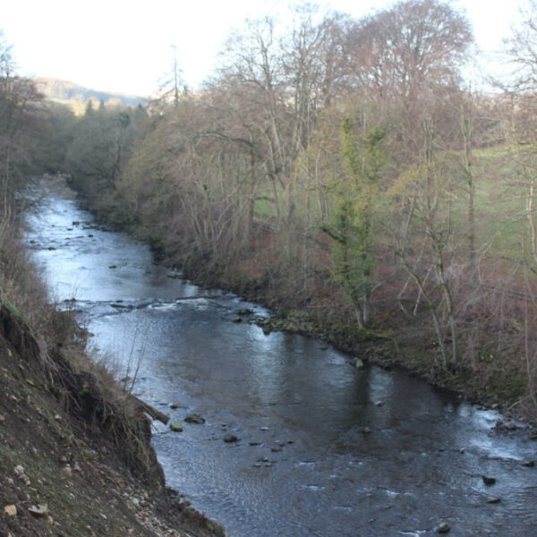 Fishing rights for sale on the River Wear