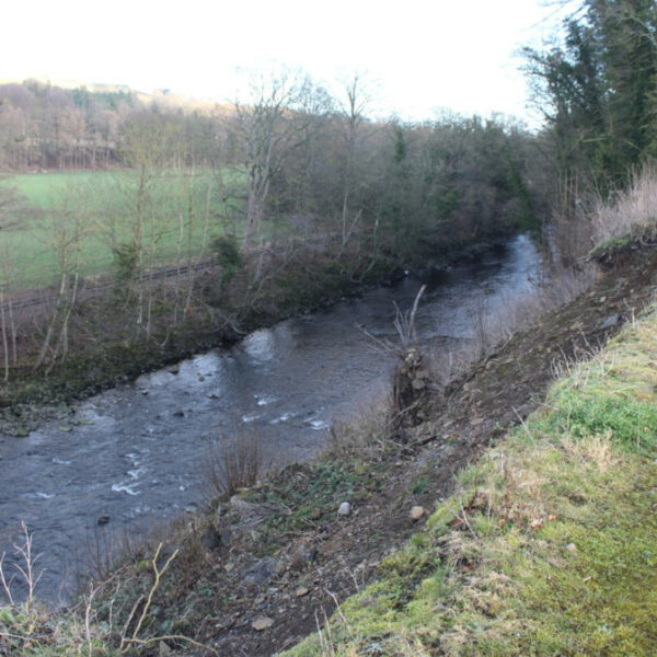 Fishing rights for sale on the River Wear